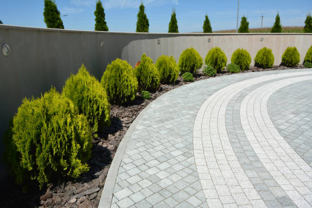 Best Local Driveway Pavers  in Gruver, TX